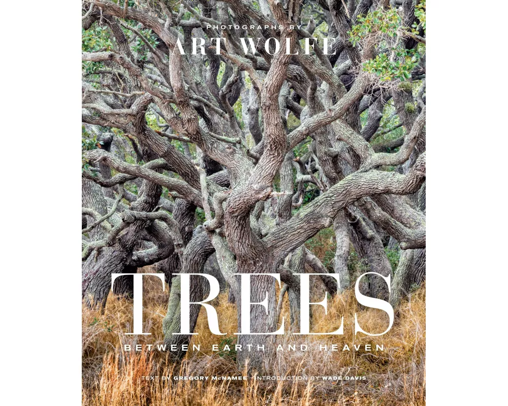 Trees