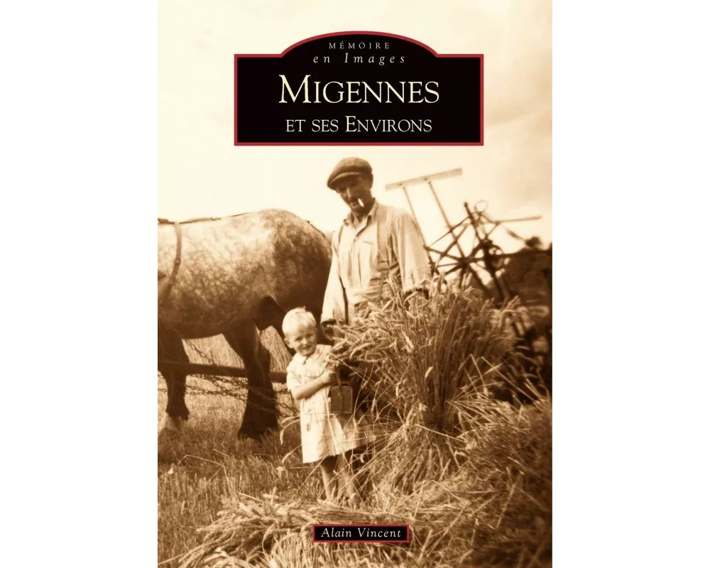 Migennes et ses environs