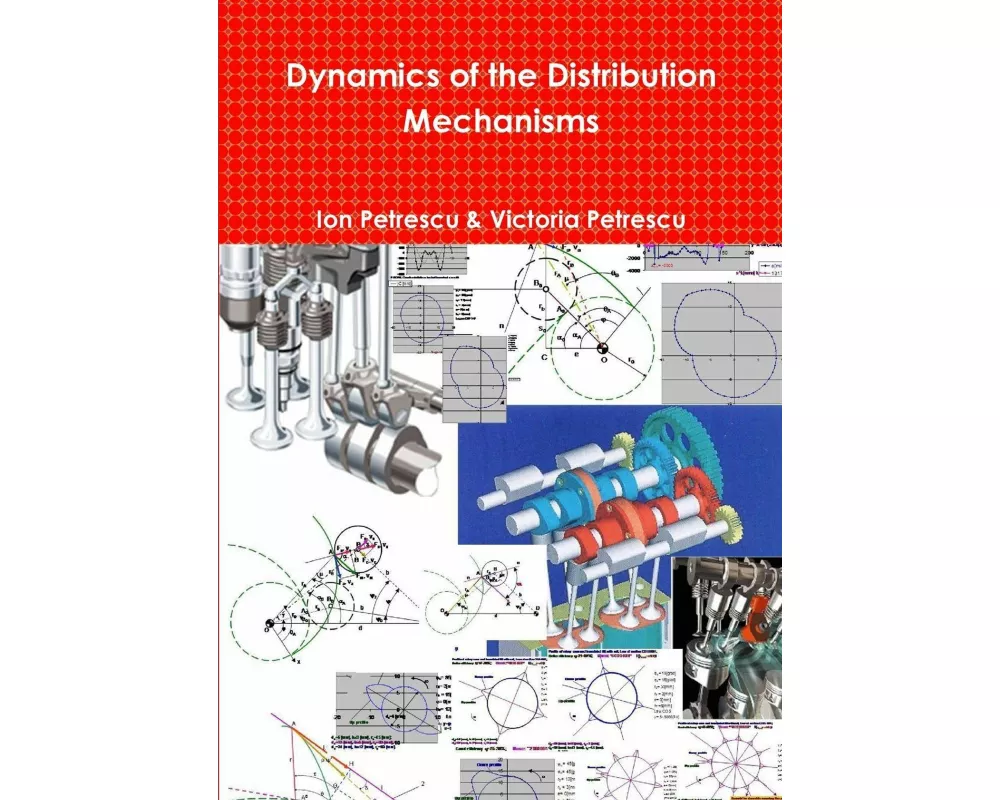 Dynamics of the Distribution Mechanisms