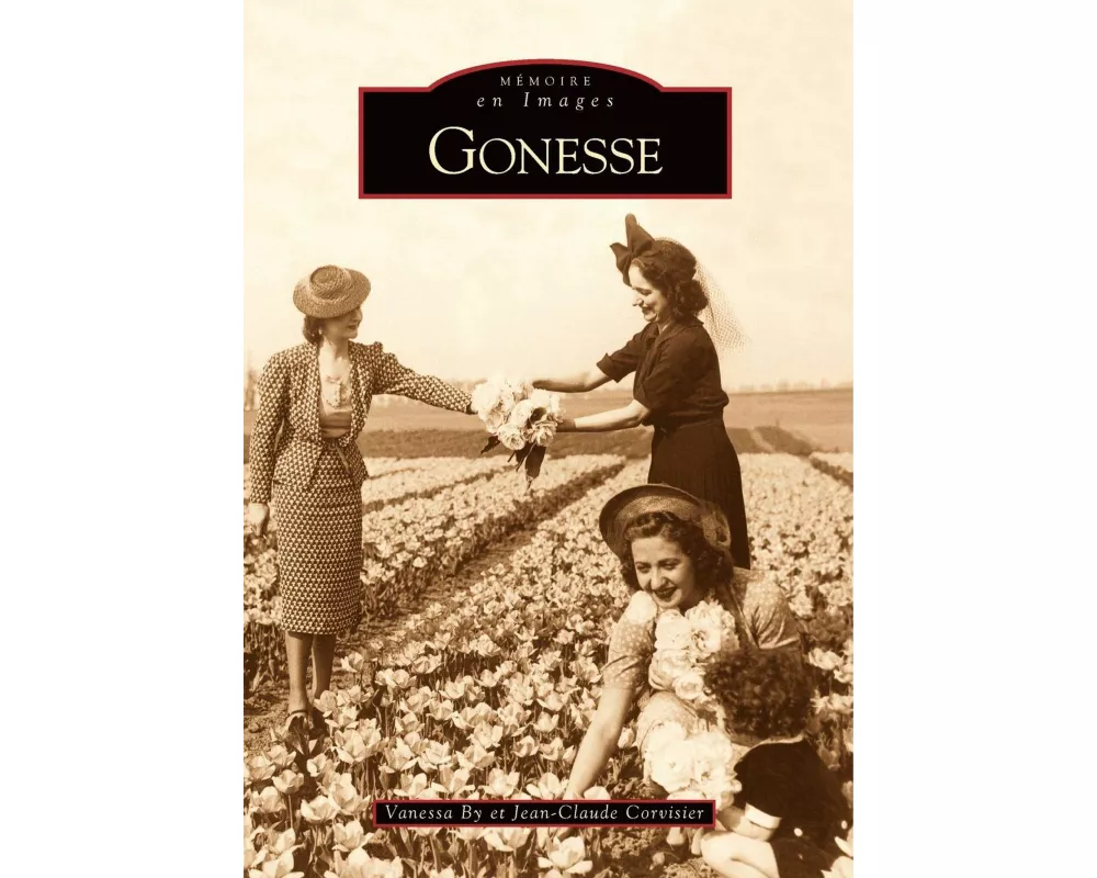 Gonesse