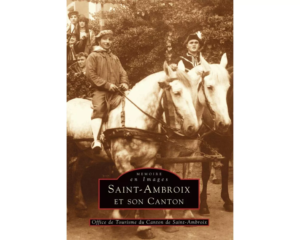 Saint-Ambroix et son canton