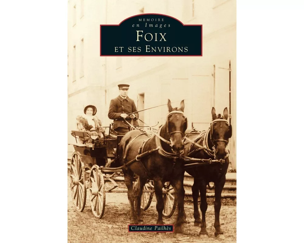 Foix et ses environs