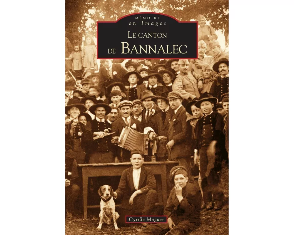 Bannalec (Canton de)