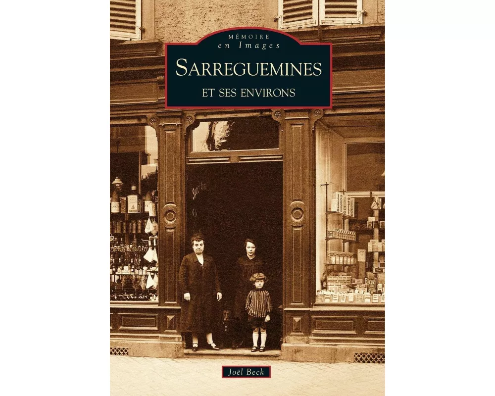 Sarreguemines et ses environs