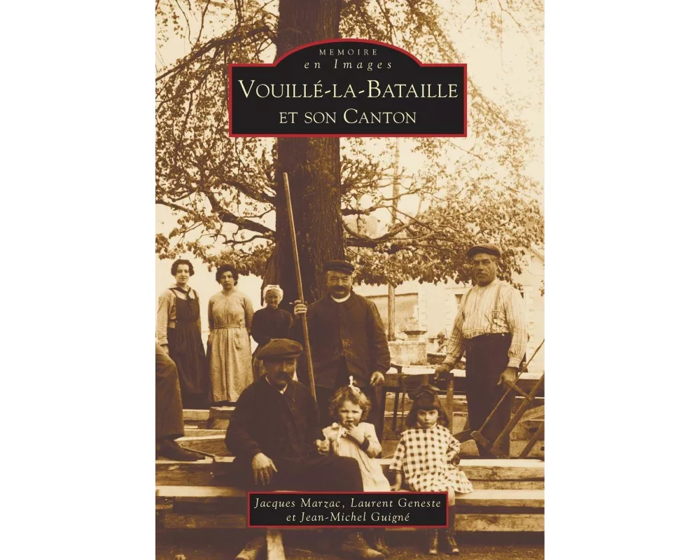 Vouillé-la-Bataille et son canton