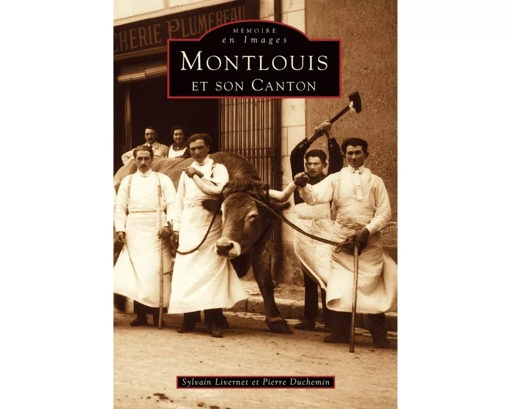 Montlouis et son canton