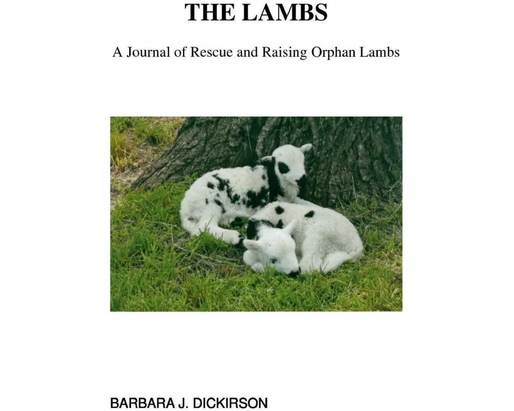 The Lambs