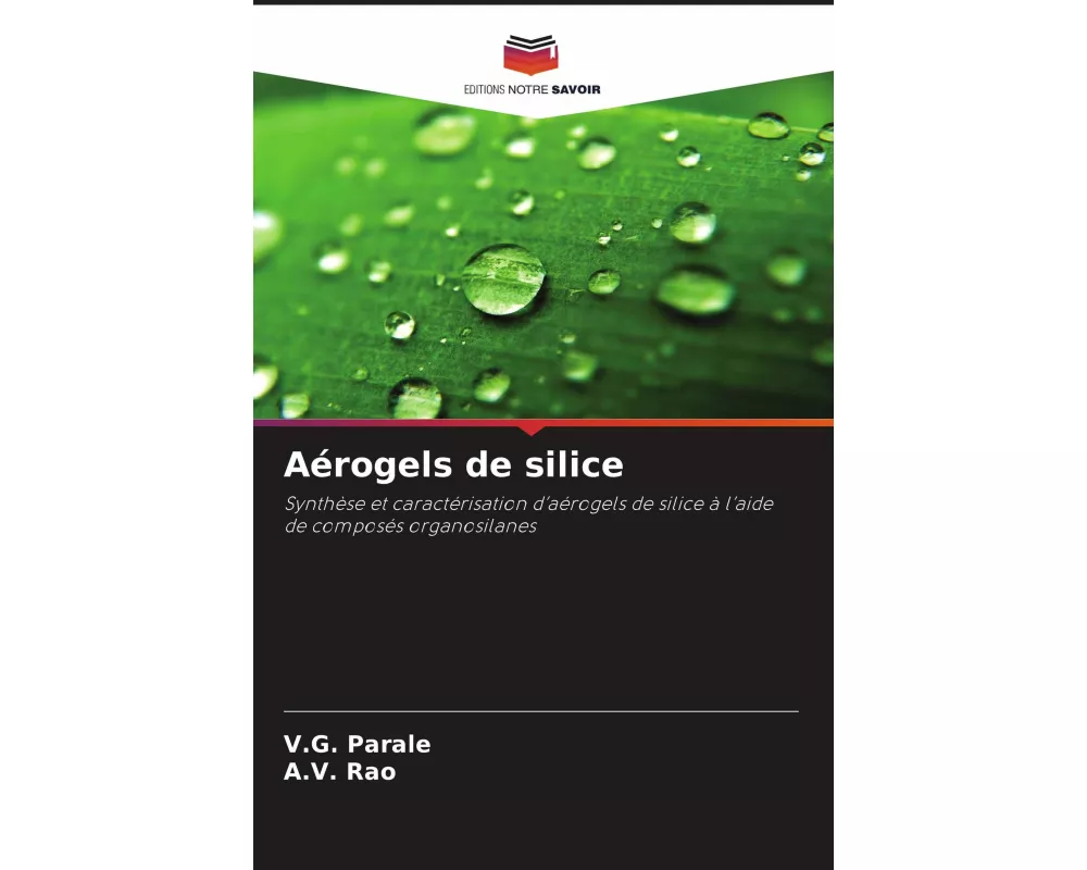 Aérogels de silice