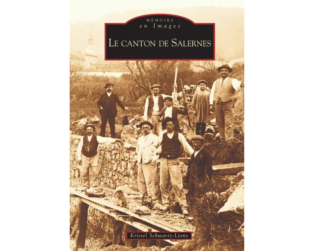 Salernes (Canton de)