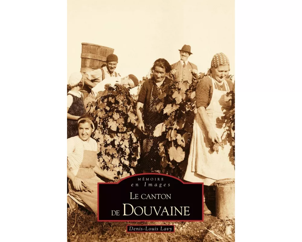 Douvaine (Le canton de)