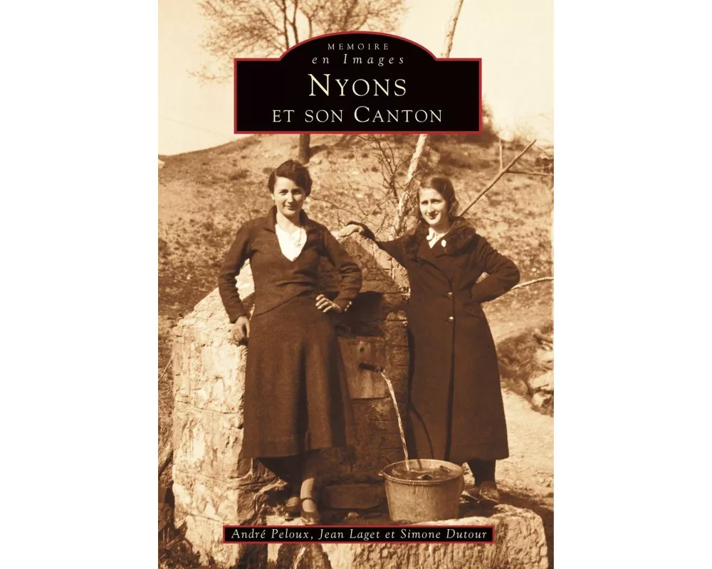 Nyons et son Canton