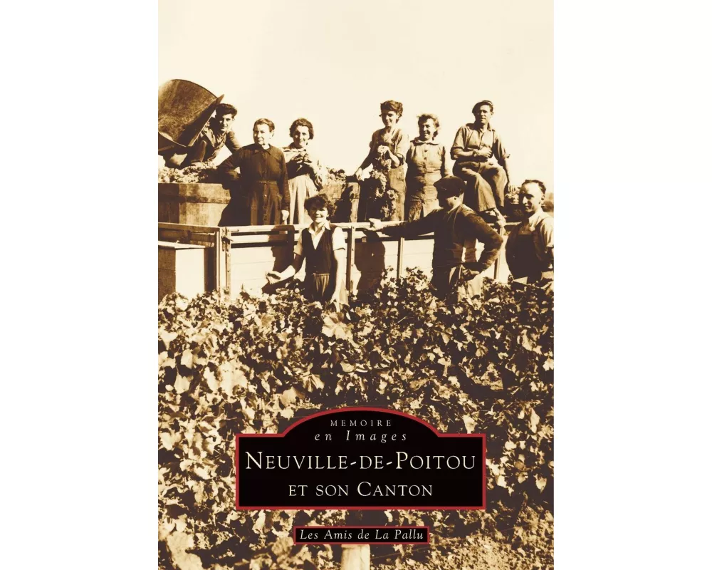 Neuville-de-Poitou et son canton