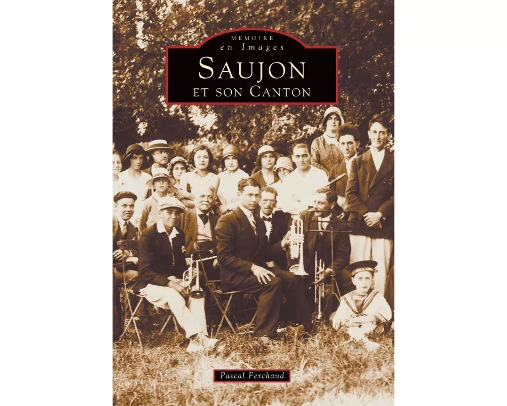 Saujon et son canton