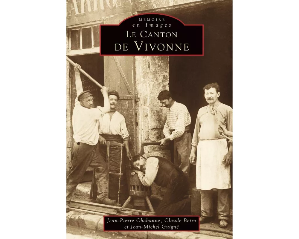 Vivonne (Canton de)