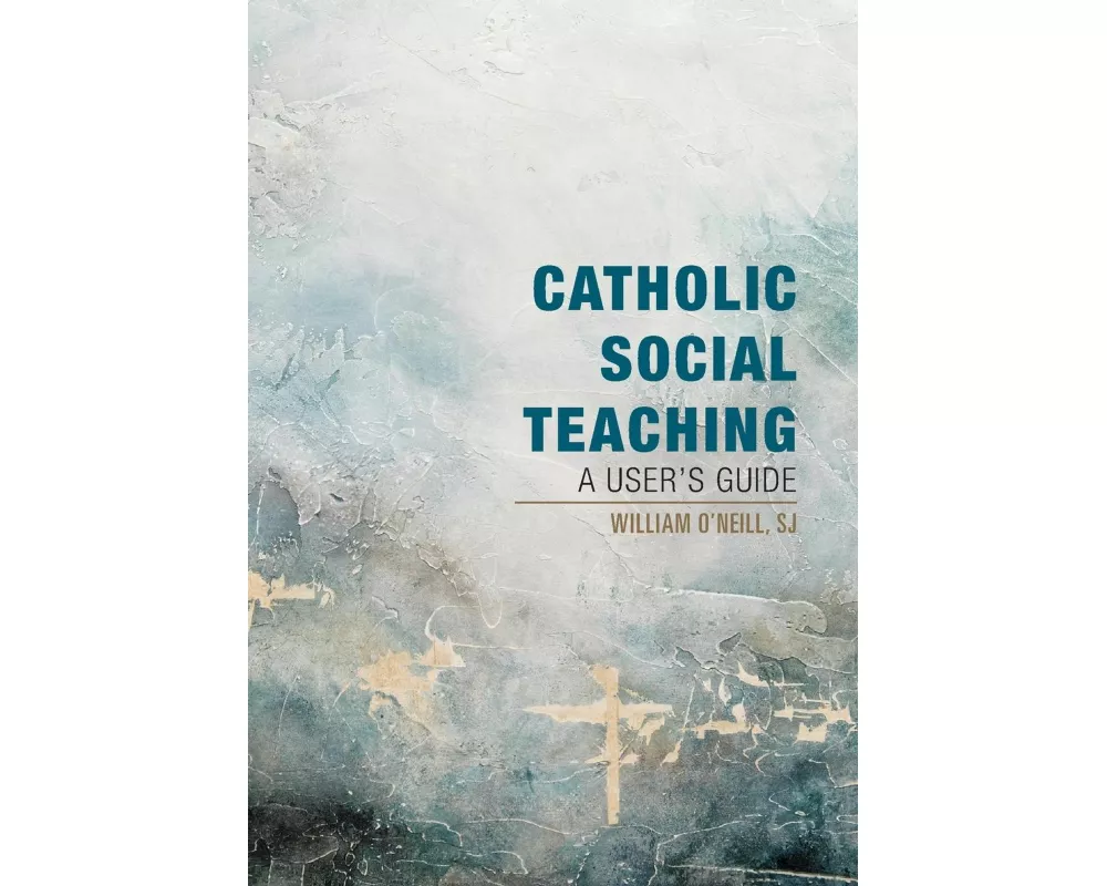 Catholic Social Teaching: A User's Guide