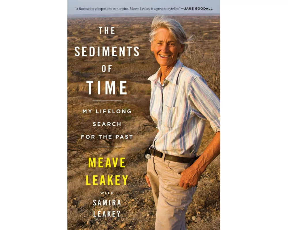 The Sediments of Time