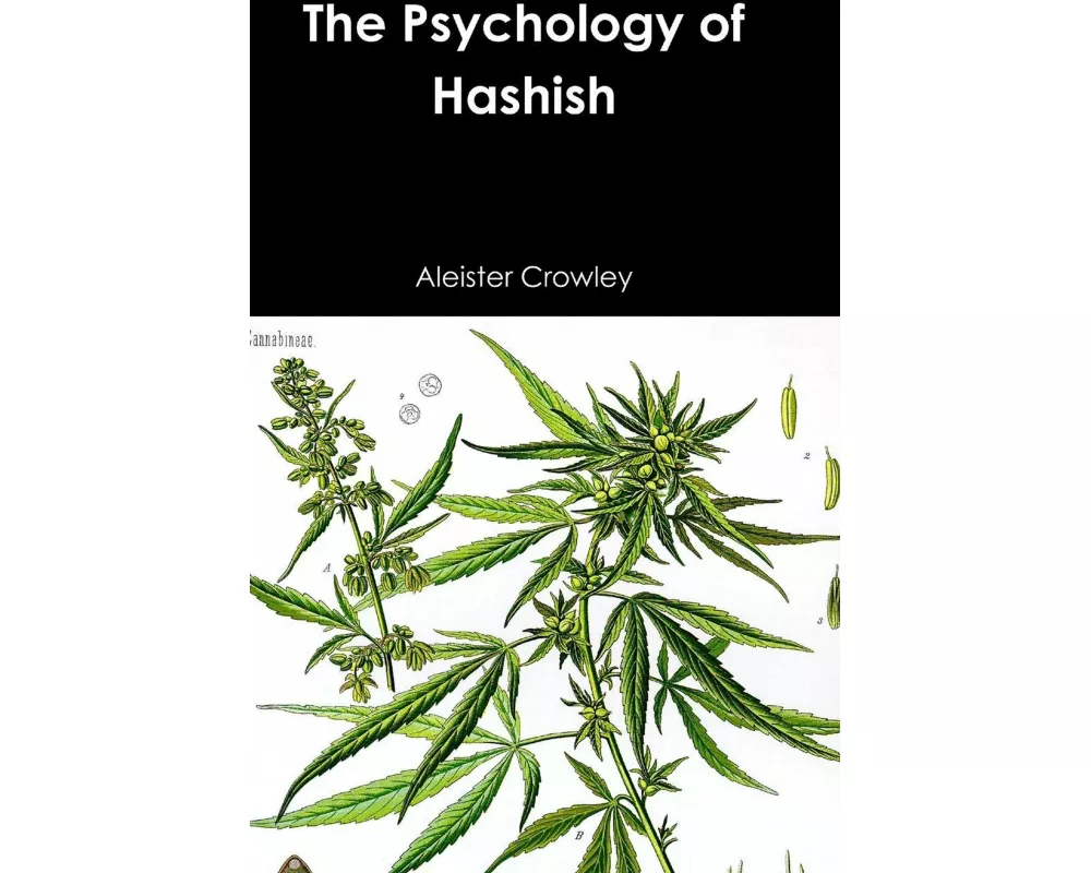 The Psychology of Hashish