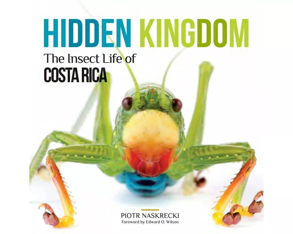 Hidden Kingdom