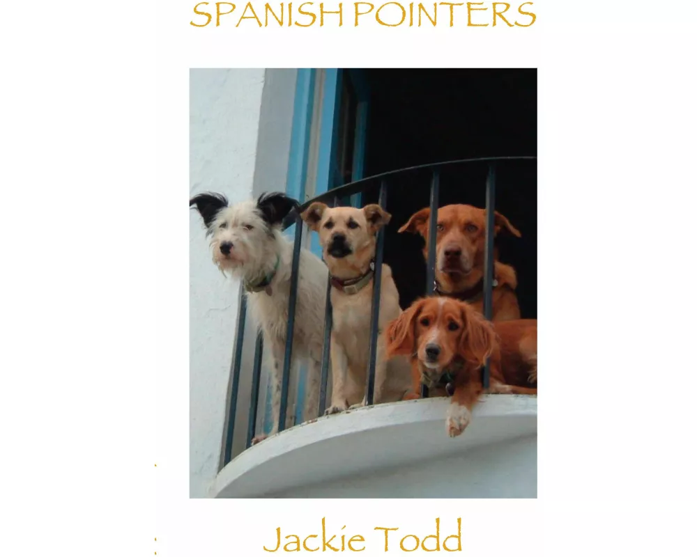 Spanish Pointers