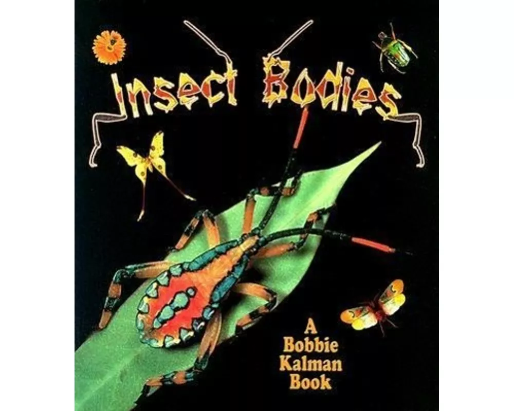 Insect Bodies