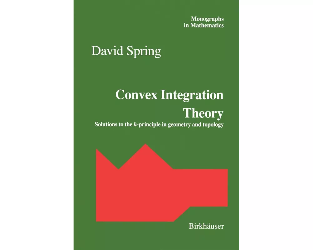 Convex Integration Theory
