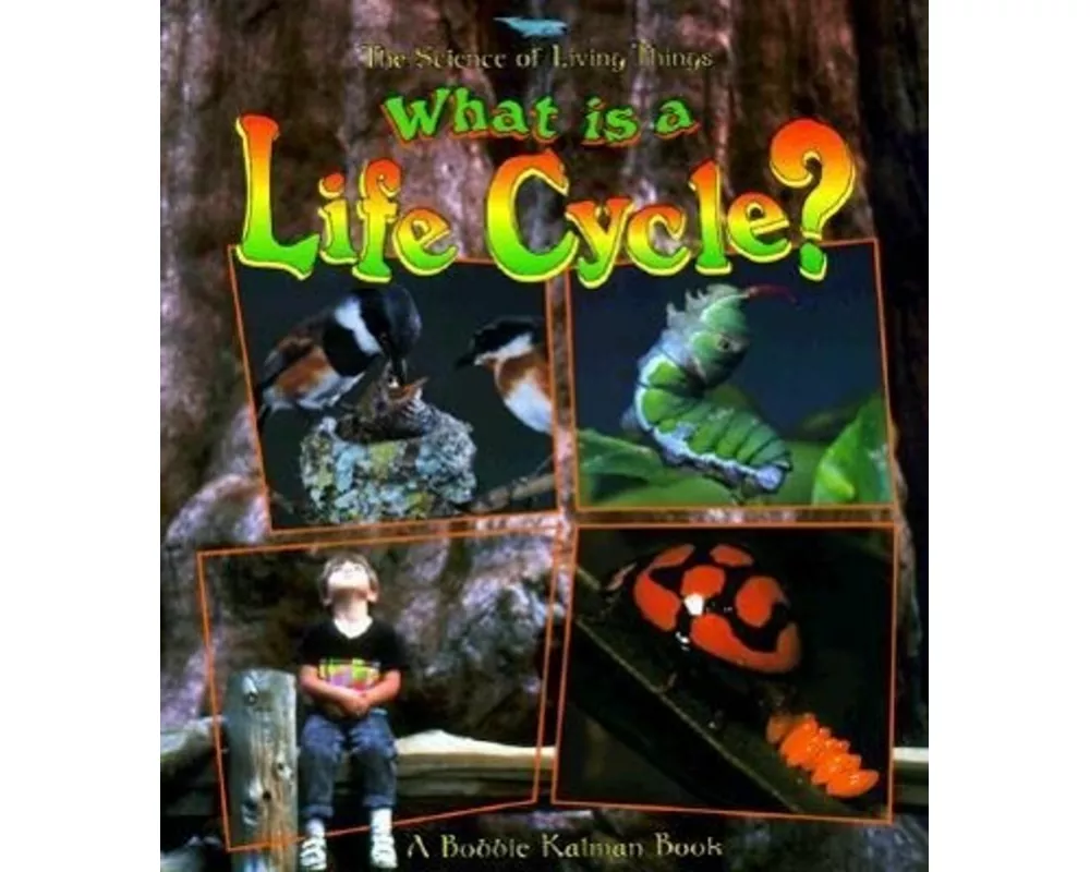 What Is a Life Cycle?