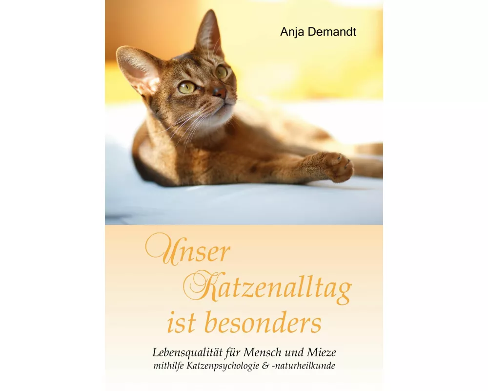 Unser Katzenalltag ist besonders