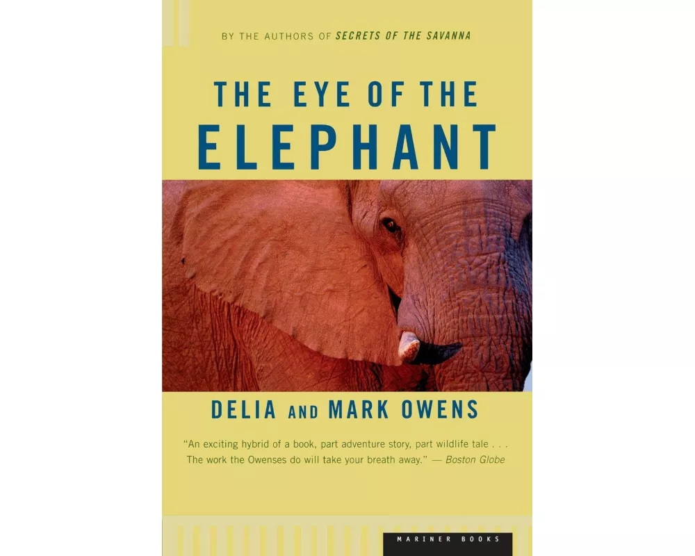 The Eye of the Elephant