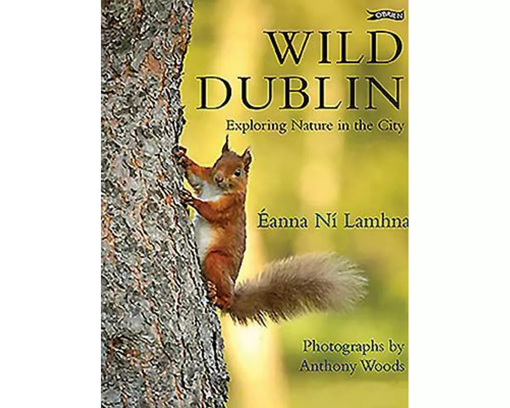 Wild Dublin
