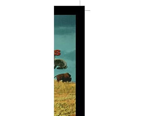 What Lives on a Prairie?