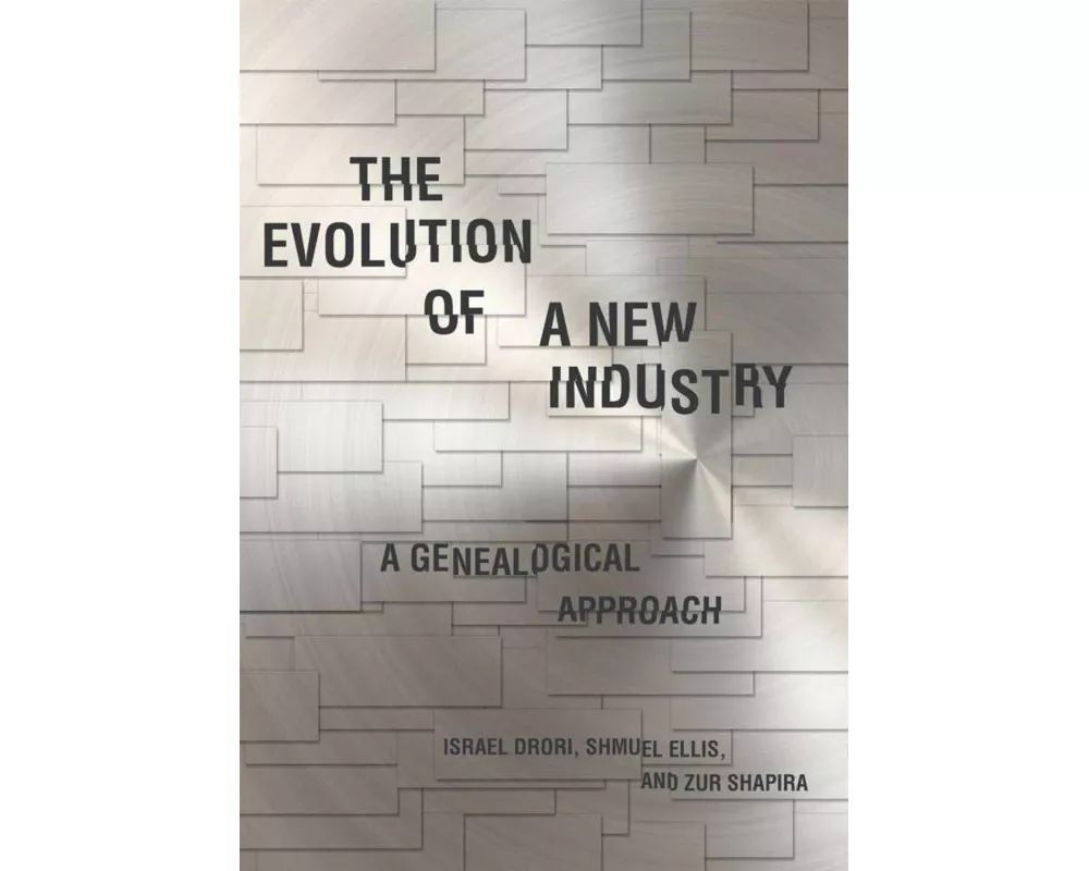 The Evolution of a New Industry
