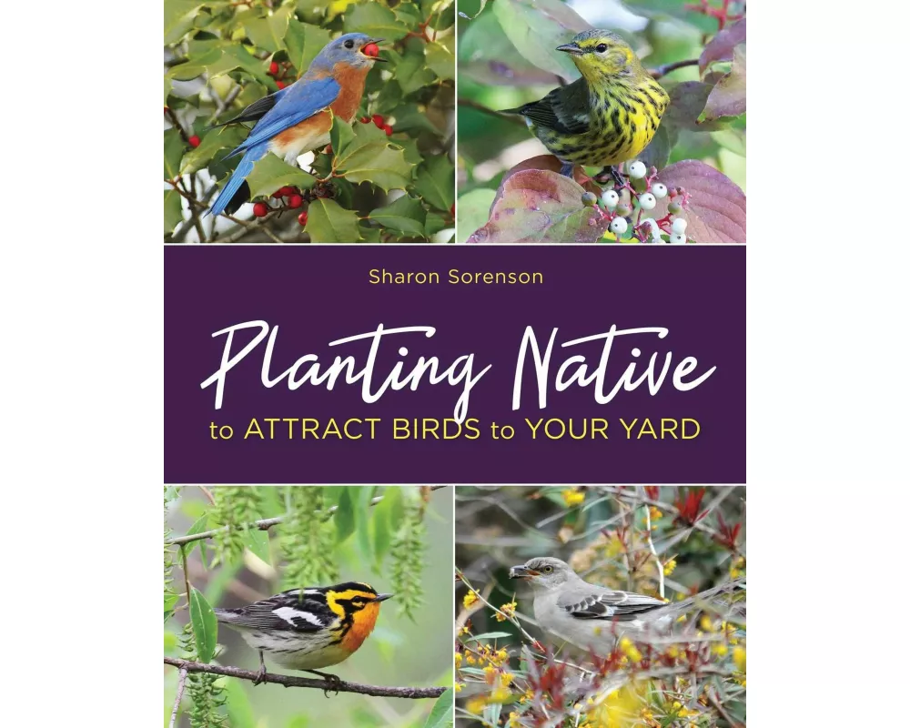Planting Native to Attract Birds to Your Yard