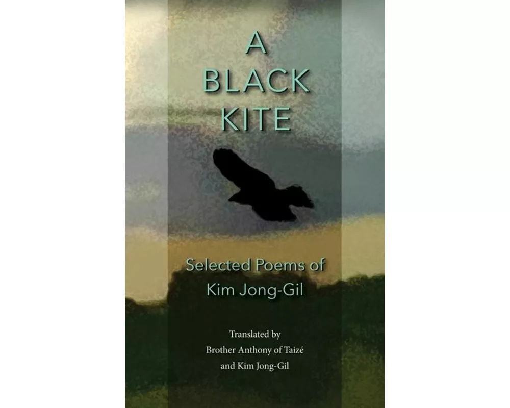 A Black Kite