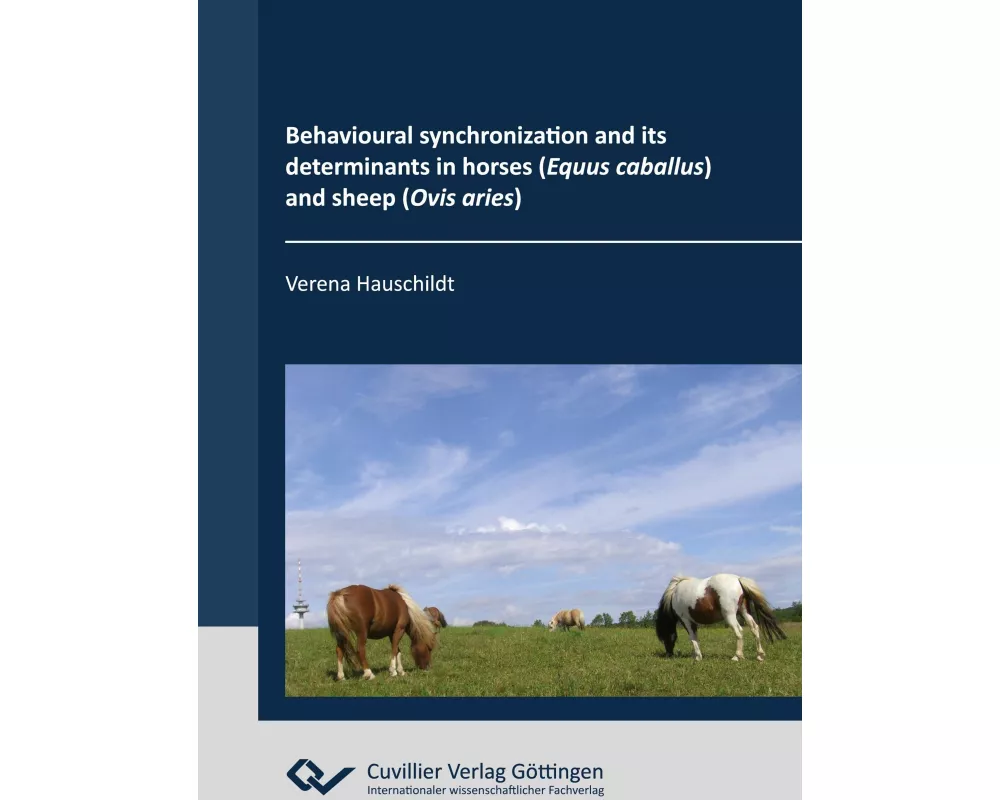Behavioural synchronization and its determinants in horses (Equus caballus) and sheep (Ovis aries)