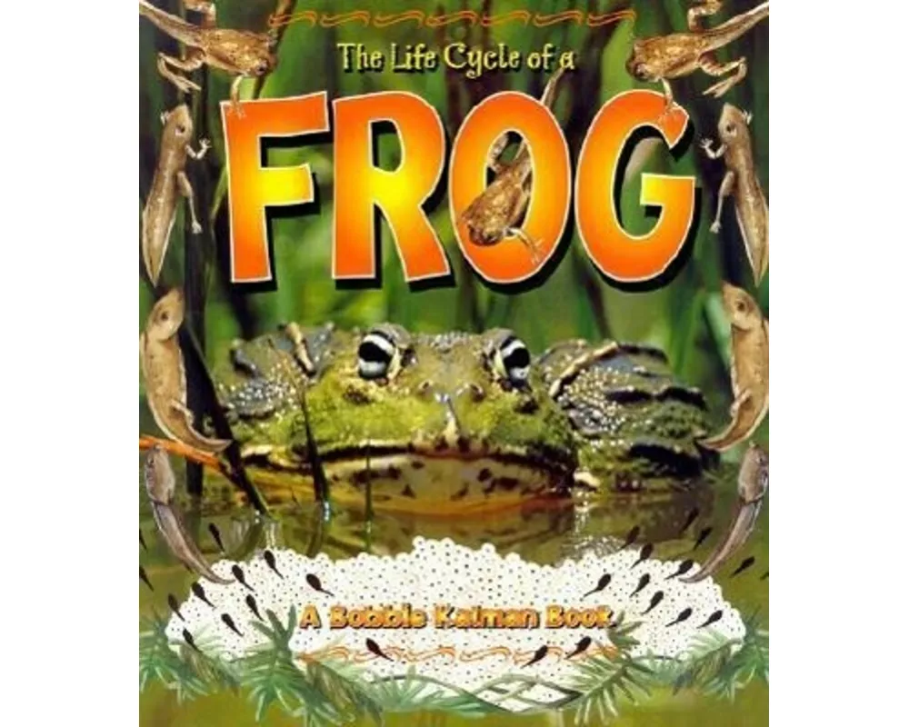 The Life Cycle of a Frog