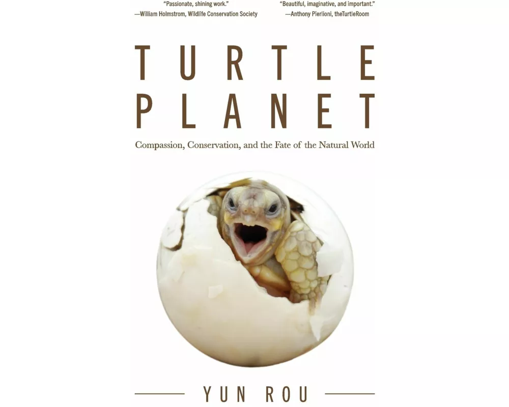 Turtle Planet