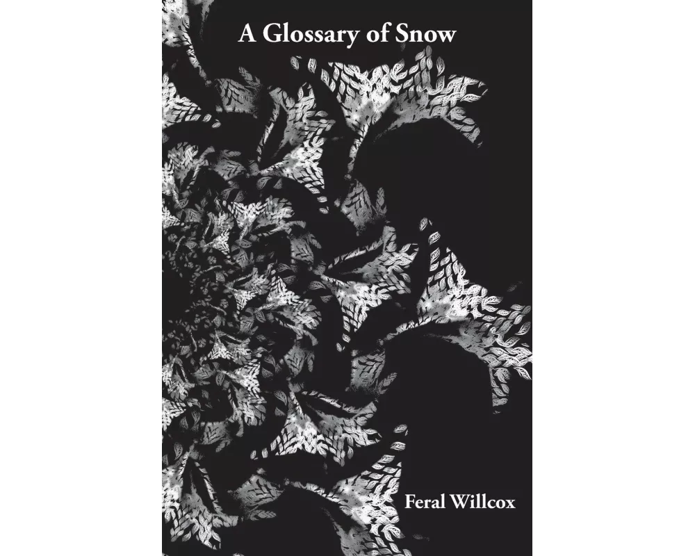 A Glossary of Snow
