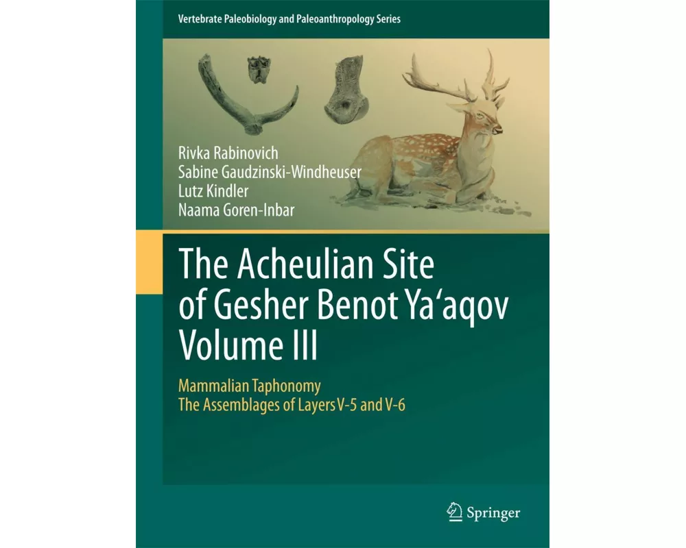 The Acheulian Site of Gesher Benot Ya‘aqov Volume III