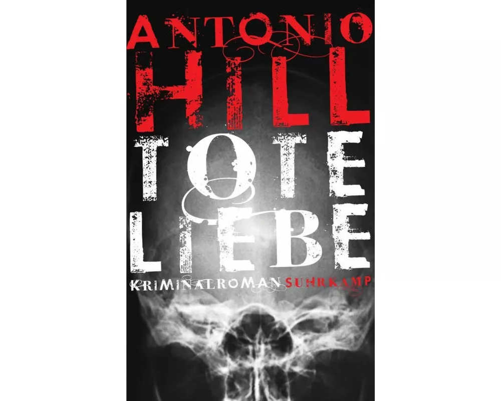 Tote Liebe - Kriminalroman (Héctor-Salgado-Trilogie 3)