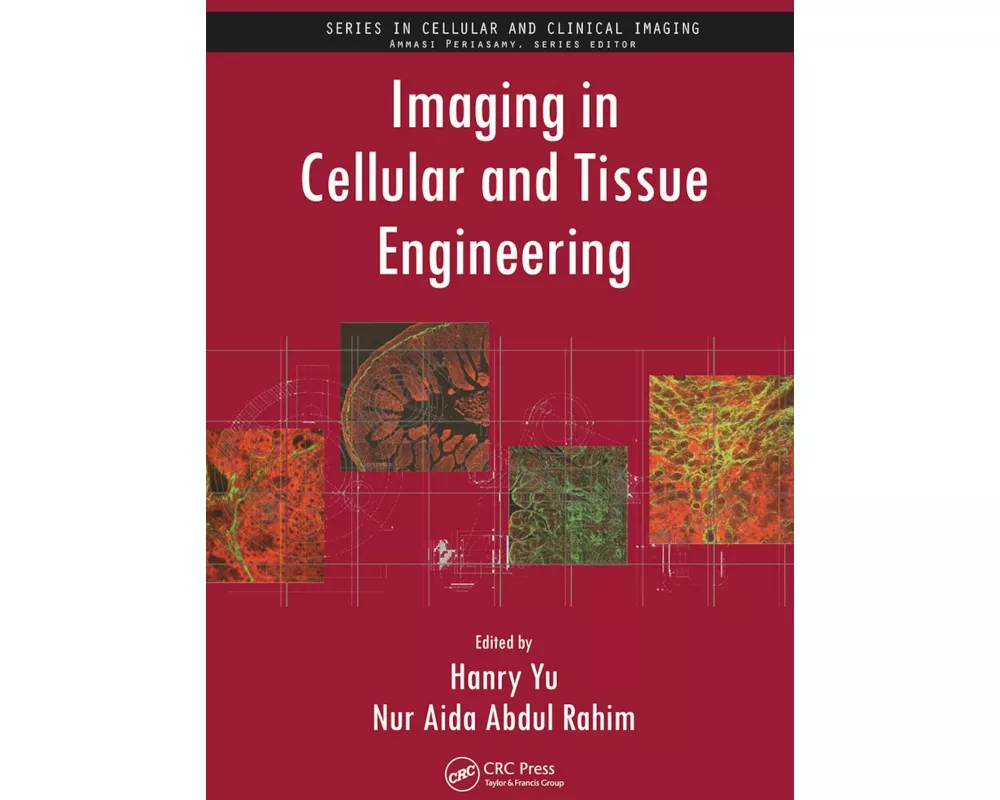 Imaging in Cellular and Tissue Engineering
