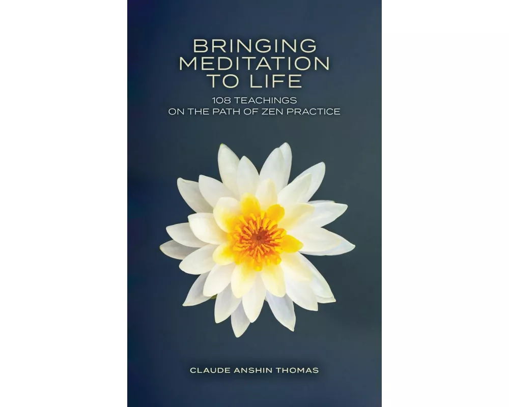 Bringing Meditation to Life