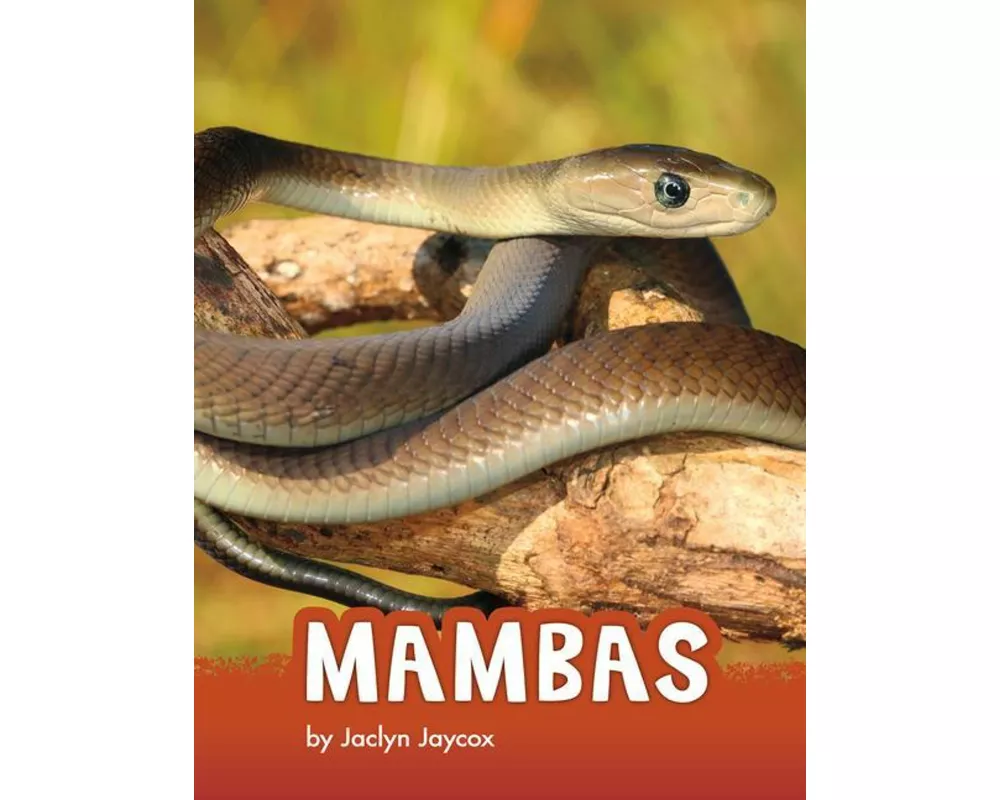 Mambas