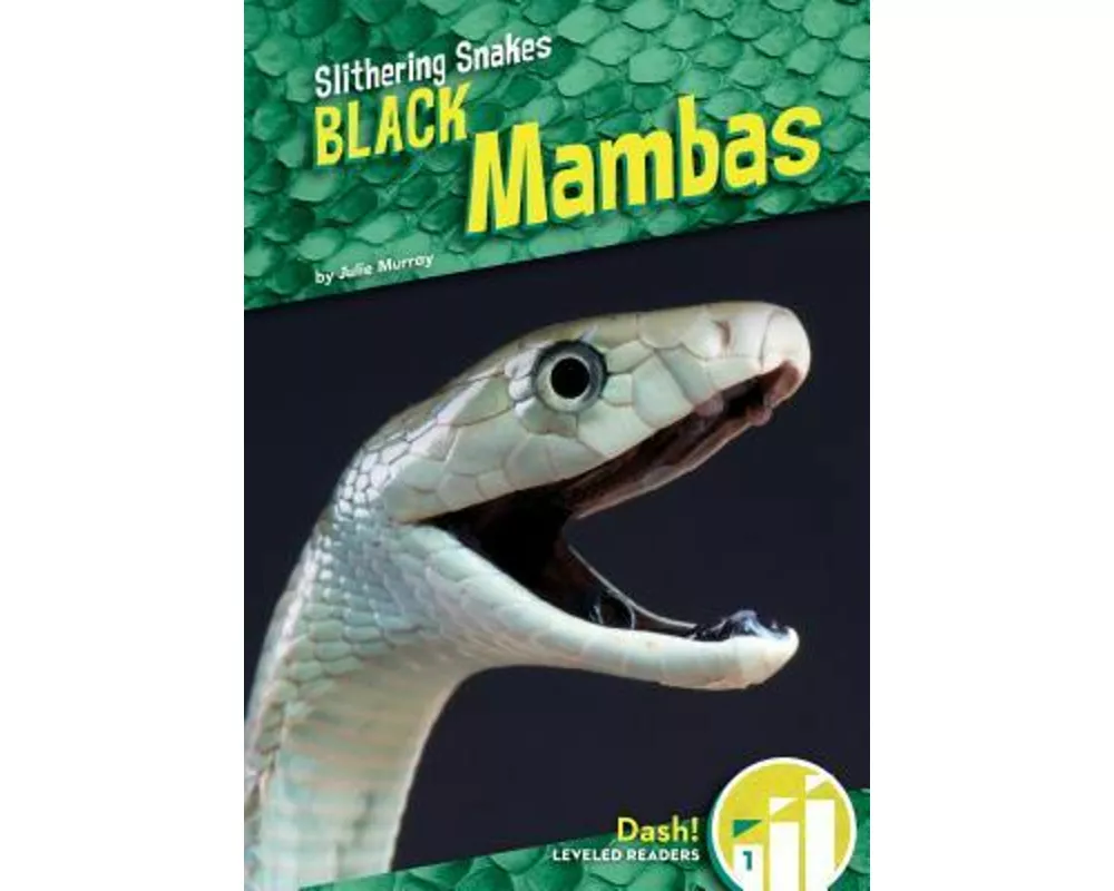 Black Mambas