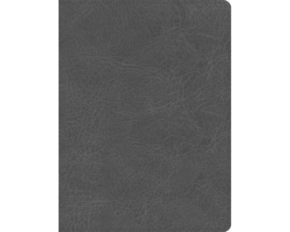 CSB He Reads Truth Bible, Smoke Leathertouch, Indexed
