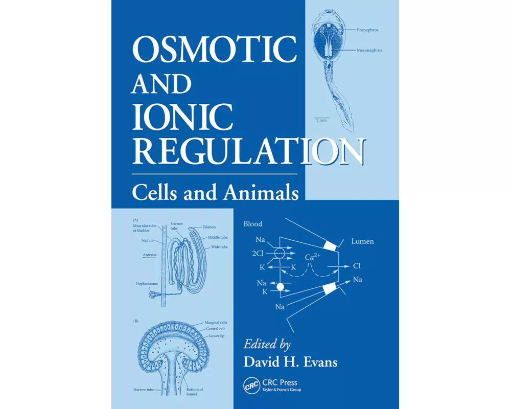 Osmotic and Ionic Regulation