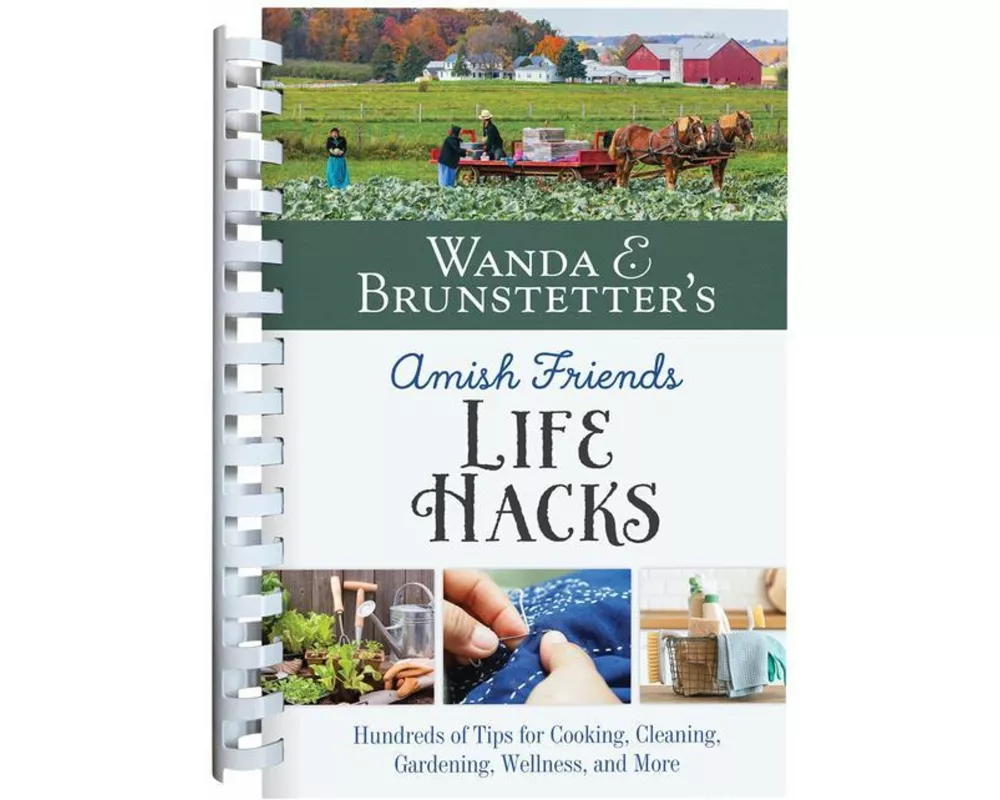 Wanda E. Brunstetter's Amish Friends Life Hacks