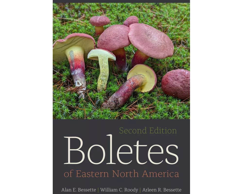 Boletes of Eastern North America