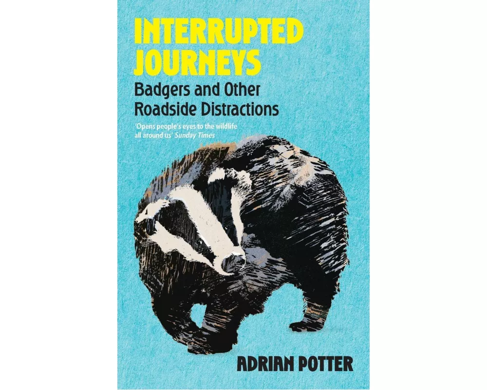 Interrupted Journeys