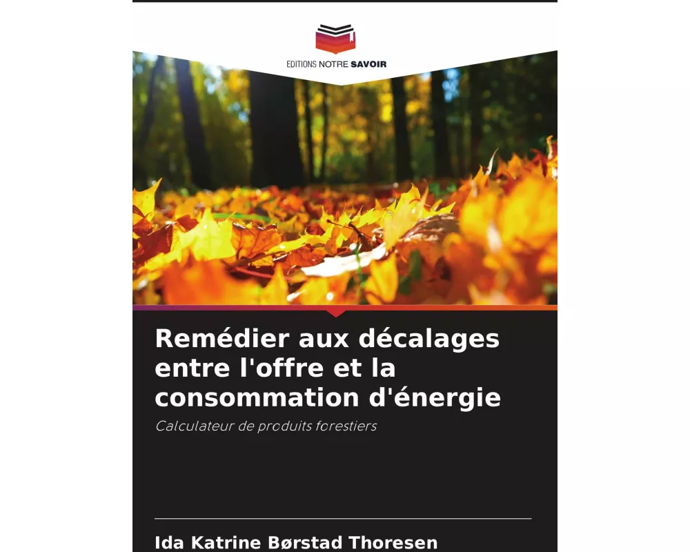 Remédier aux décalages entre l'offre et la consommation d'énergie