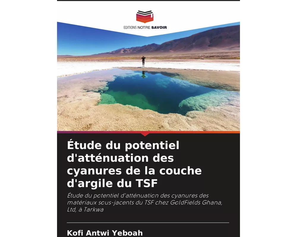 Étude du potentiel d'atténuation des cyanures de la couche d'argile du TSF